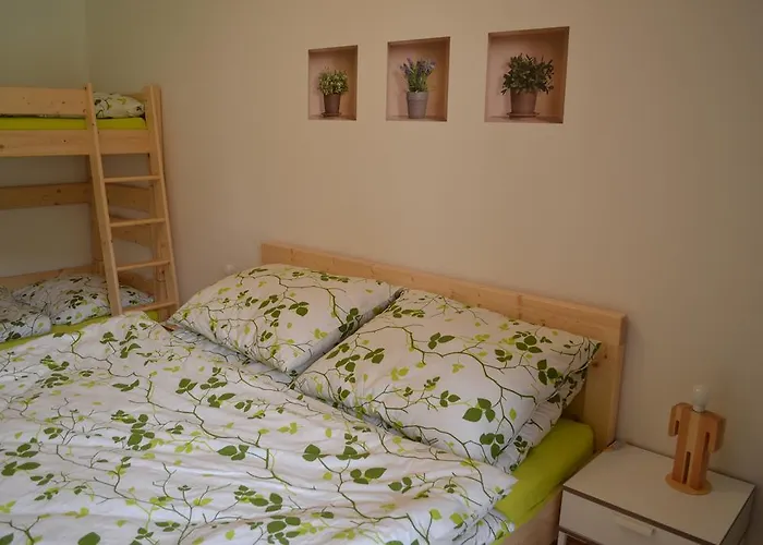 Apartman Medvedin 109