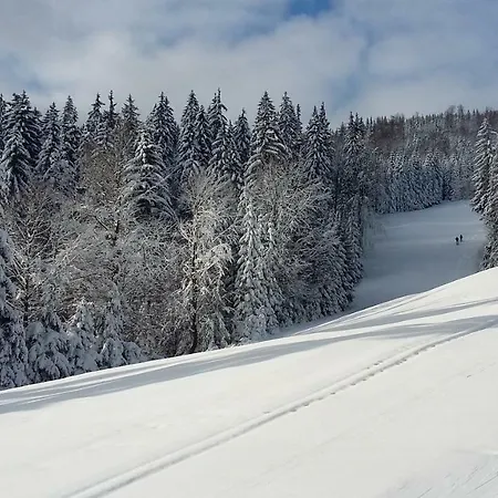 Medvedin 109